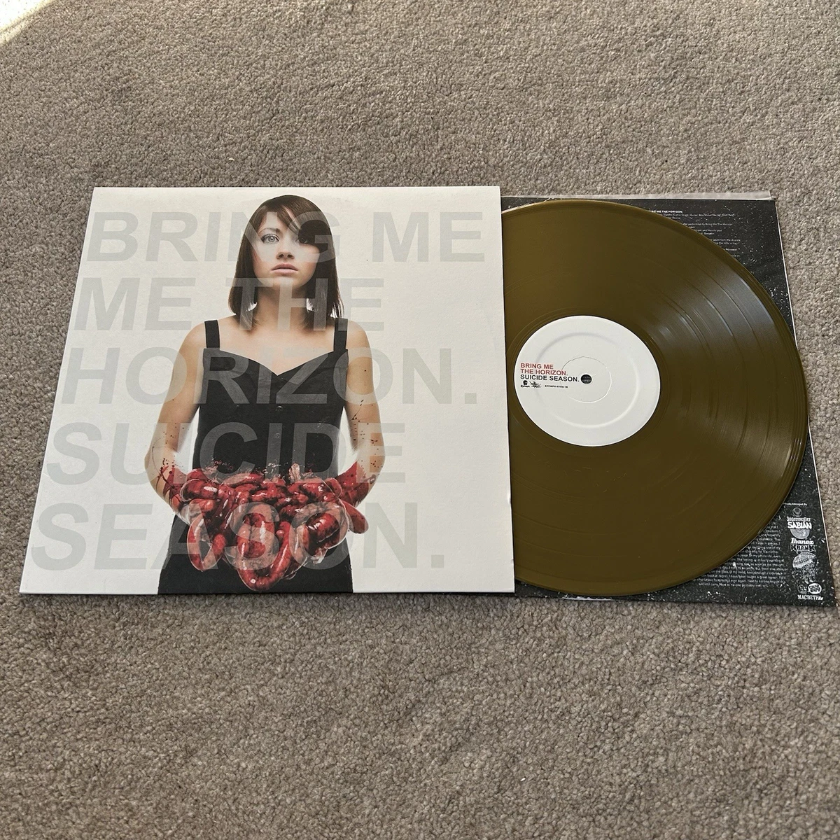 Las mejores ofertas en Bring Me The Horizon discos de vinilo de