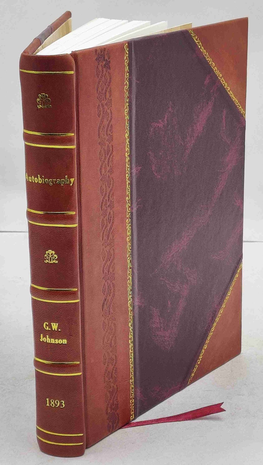 Autobiography, 1893 1893 By George Washington Johnson [Leather Bound]