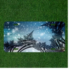 Custom Personalized License Plate Auto Tag With Creative Random Design