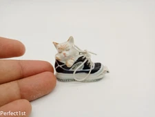 Lazy Kitten Cat sleep in ฺBlack sneakers ceramics figurine animals fairy gardens