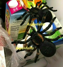 2 Black Flocked Spider/Tarantulas Fake/Prank/Halloween Large 3.75 x 5.5-in
