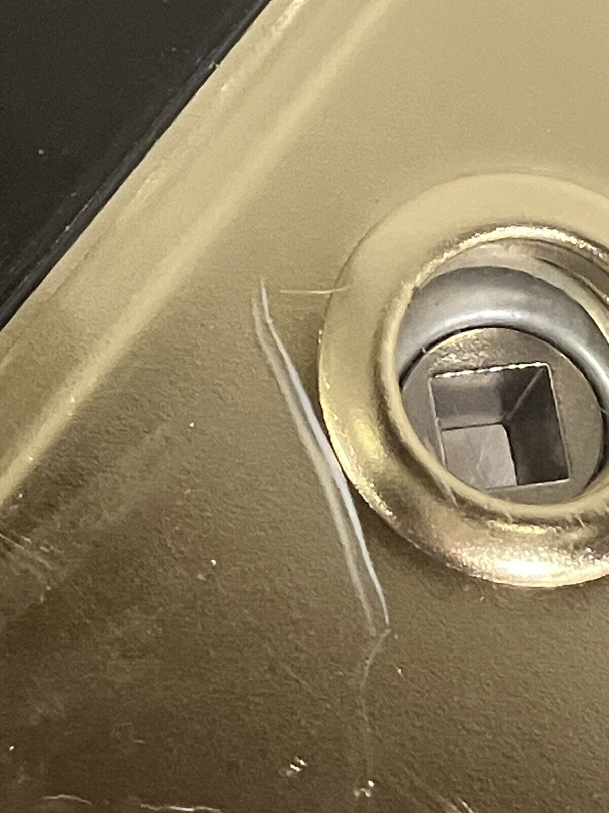 Picture 10 of 10
