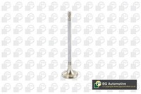 Auslassventil BGA V123003 FüR Chevrolet Spark M300 Aveo Kalos T250 T255 LPG