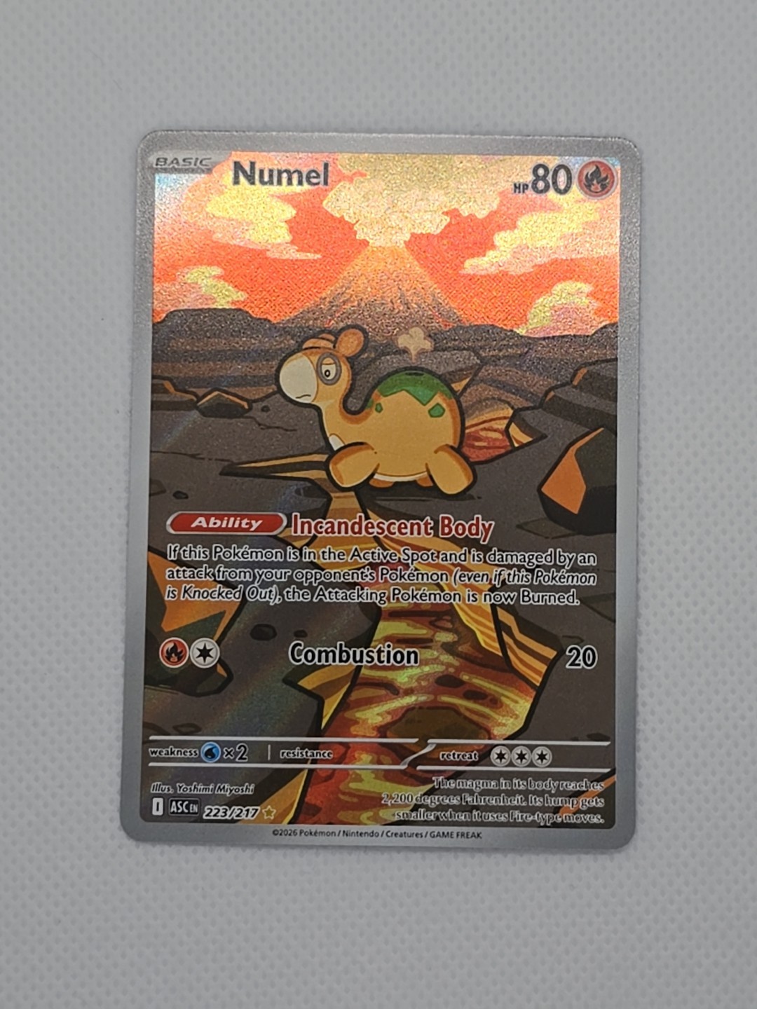 Pokémon TCG Numel 223/ Illistration Rare Holo Ascended Heroes