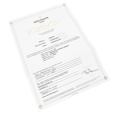 Patek Philippe Complications 5224R-001 Blue Dial Rose Gold Watch 2025 10