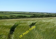 Photo 6x4 Zwartbles Sheep Tow Law "This breed was adopted by the Dut c2009
