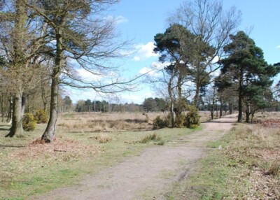 Photo 6x4 Skipwith Common The common is much used by walkers. It was decl c2010