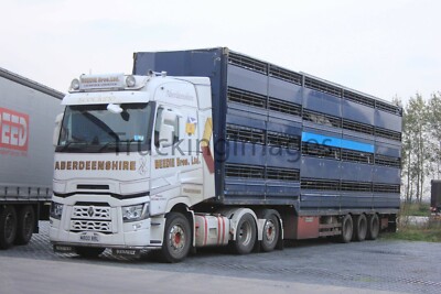 VIEHTRANSPORTER RENAULT - MERC - MAN - IVECO - ERF - FODEN - 250 ANGEBOTEN