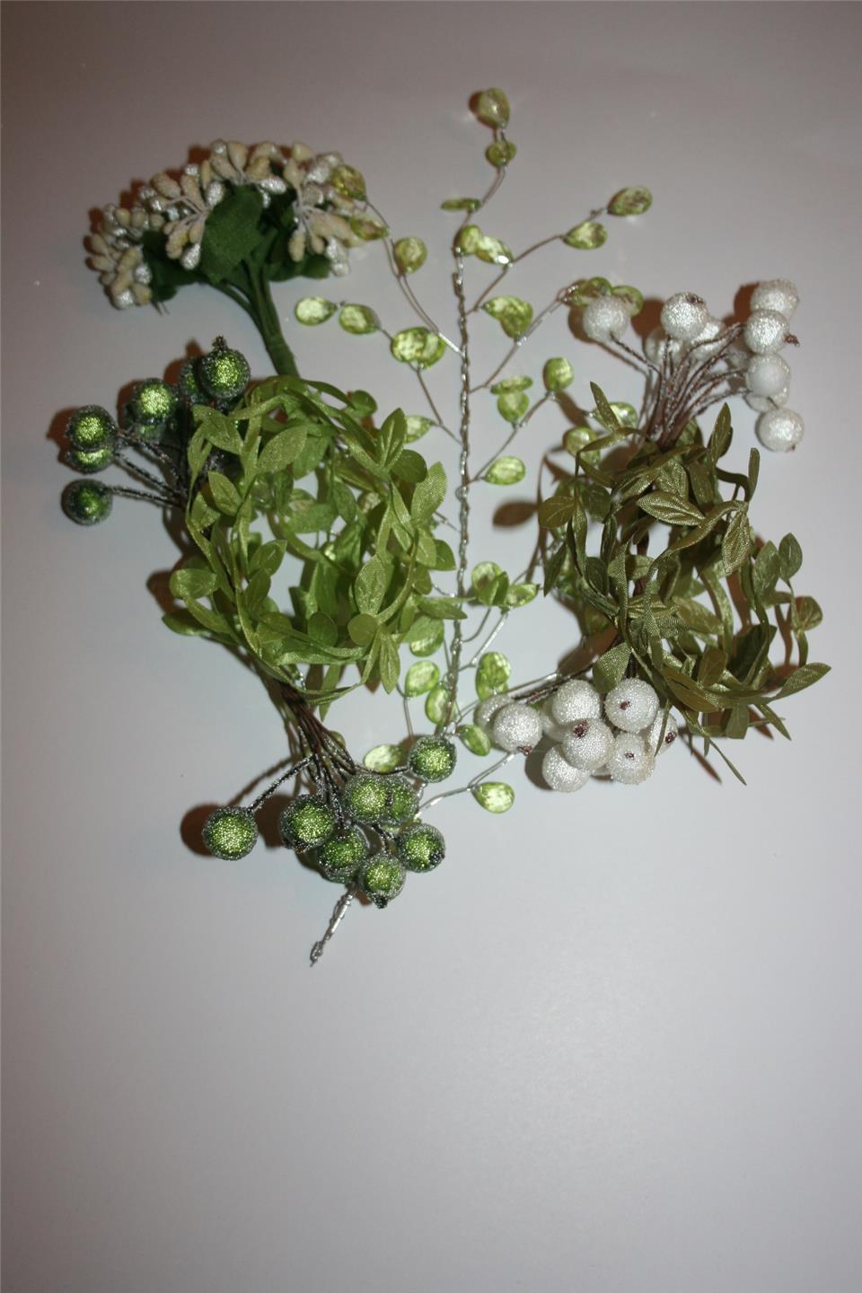 Foto 1 di 1
