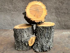 3 APRICOT DELUXE WOOD LOGS 4~5"H BIG CHUNKS For Smoking BBQ Grilling Fire Crafts