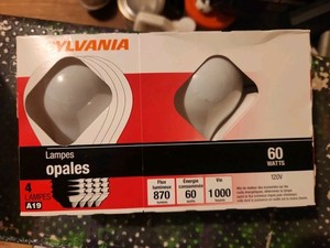 Vintage 60w Light Bulbs
