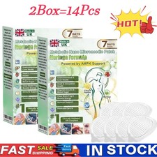 2X Berberine Moringa x 10 in 1 High-Tech Metabolic Nano Microneedle Patch