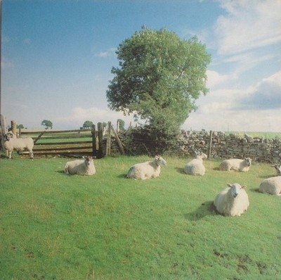 The KLF - Chill Out, LP, (Vinyl)
