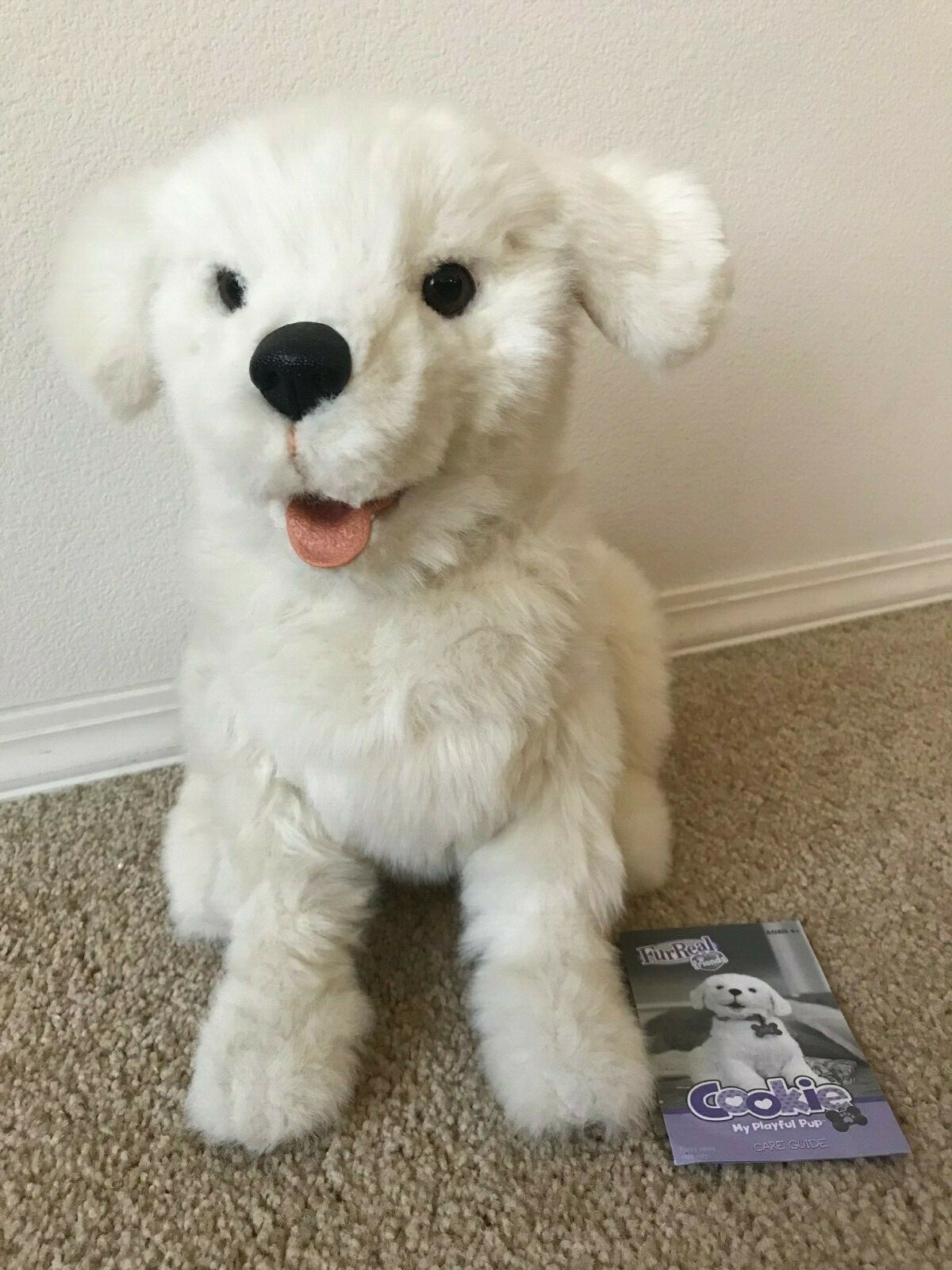 cookie my playful pup