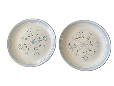 FASCINO STONEWARE Set of 2 HAND DECORATED FLORAL DINNER PLATE 10.75'' JAPAN