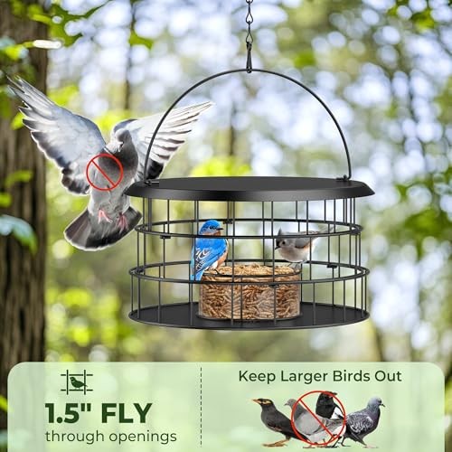 Bluebird Feeders for Outdoors Hanging - Birdfeeder Bluebird Feeder- Black