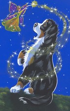 Bernese Mountain dog print 8 x 10 , " Fairy dusted " Signed by artist