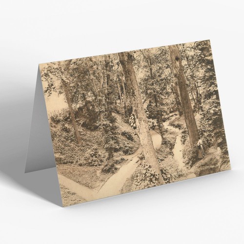 GREETING CARD Vintage Scotland In Pittencrieff Glen, Dunfermline (1) eBay