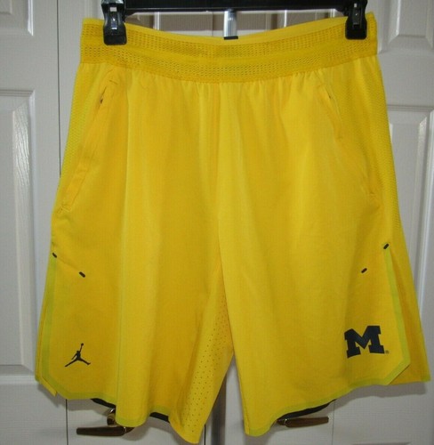 Nike Air Jordan University of Michigan 