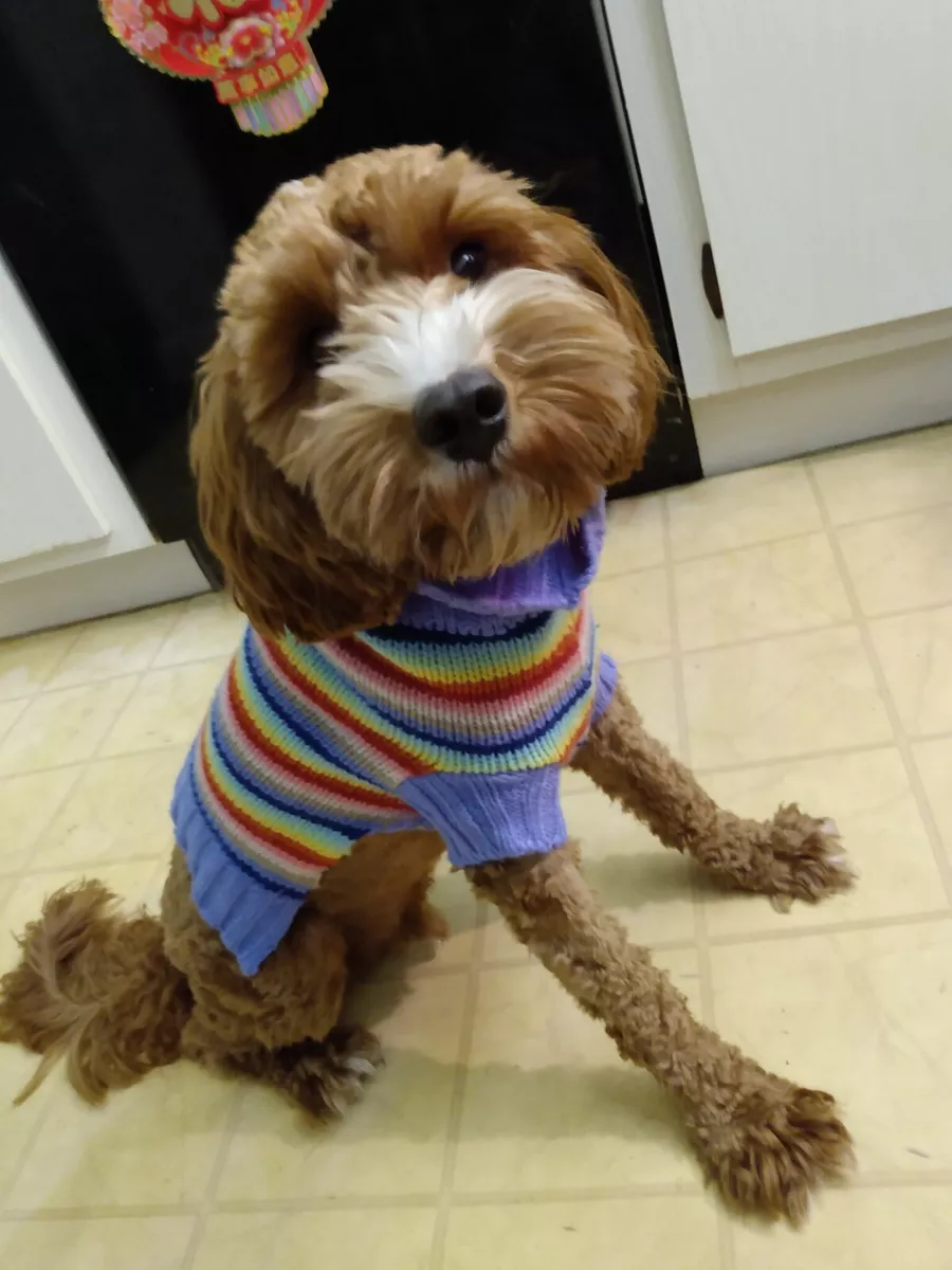 Rainbow winter shop clothes