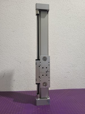 Festo DGC-32-300-GF-PPV-A 532448