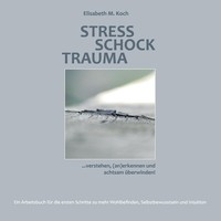 Stress Schock Trauma ... Verstehen, (An)Erkennen Und Achtsam ... 9783743180925