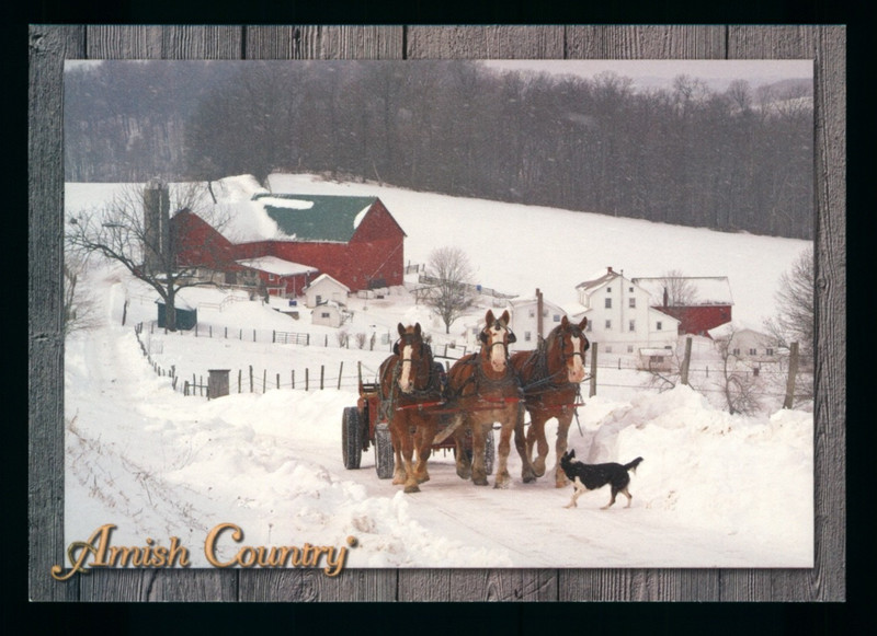 Postcard: Working on the Farm in the winter involves cleaning out the barn. P