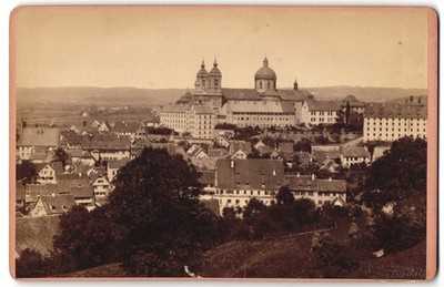 Photograph O. v. Zubuesni, Lindau, view vineyard, view of the city and  