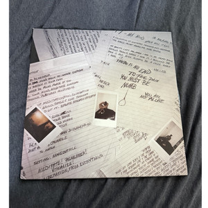 Xxxtentacion Vinyl 17 | eBay