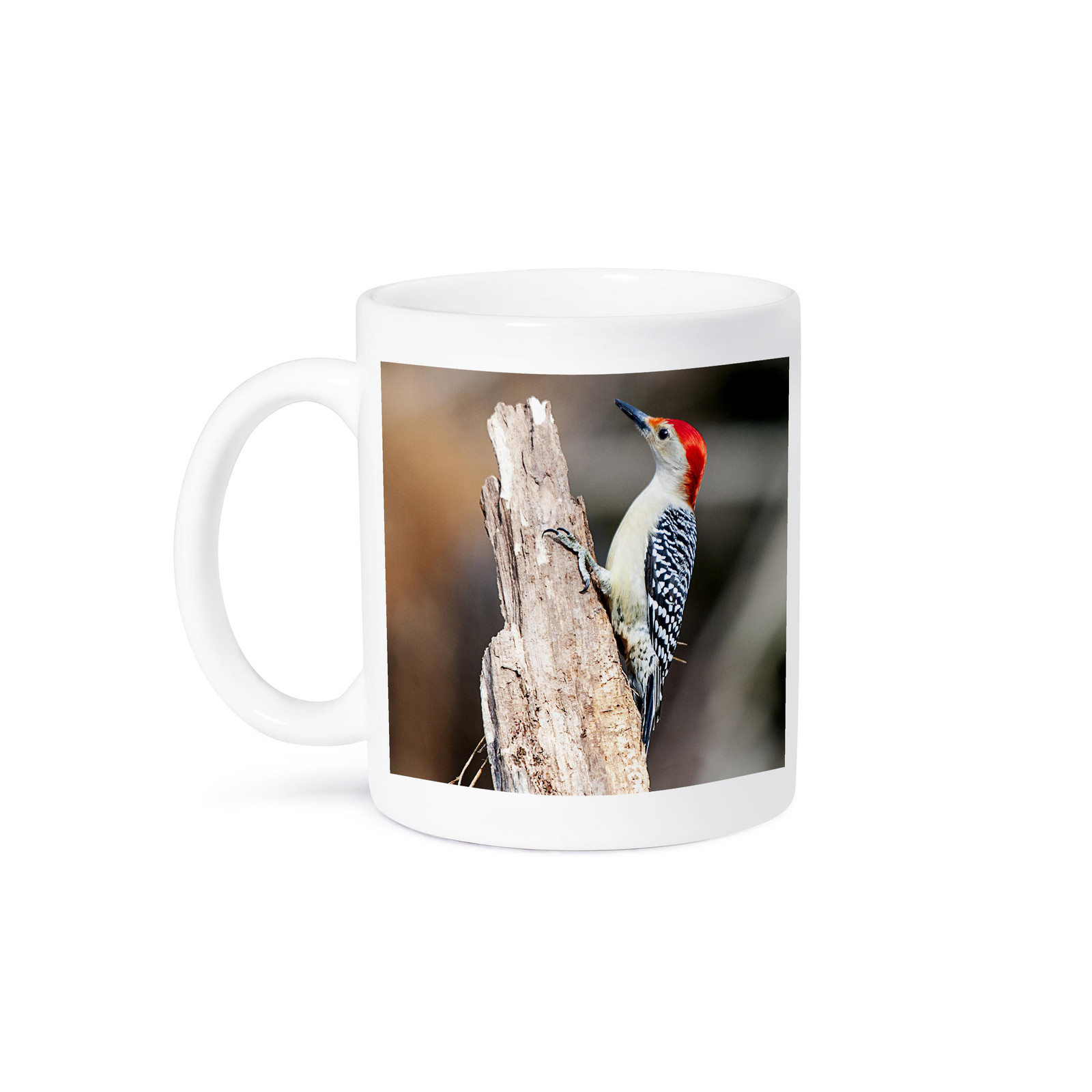 3dRose, RED BELLIED WOODPECKER, Mug