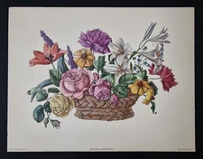 Antique Flower Print Zurich Switzerland Editions Pierre Hautot Stehli Brothers