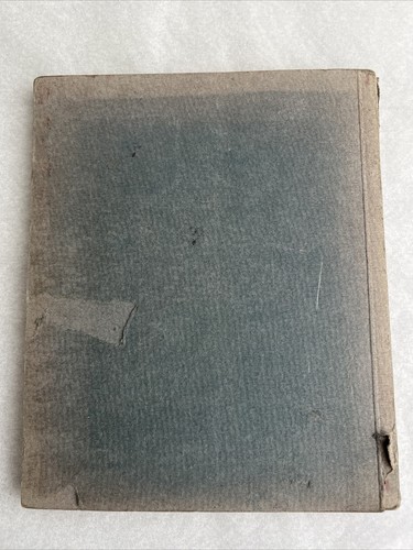 Antique Book Dresden Residential Palace + Pillnitz Palace 24 Copper Prints - Imagen 2 de 8