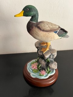 "MALLARD" ( A6054) BORDER FINE ARTS: (2005)