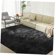 5X8 Ultra Soft Rug for Living Room, Fluffy Shag Area Rug for Bedroom, Modern