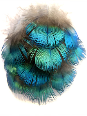 10pcs 4-6cm Natural Blue Green Rare Peacock Plumage Feathers DIY Craft Boho