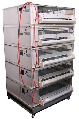 PINNON HATCH FARMS LLC Automatic Water Kit 0580 for 5-Stack Battery Brooders