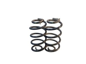 Federnsatz Hinterachse für RENAULT CLIO III (BR0/1, CR0/1) 1.2 16V