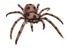 Realistic Plastic Rubber Spider Scary Measures 9"