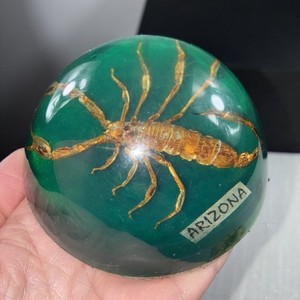 Vintage Scorpion Paperweight Encased In Lucite Dome Arizona Souvenir Green Base