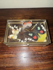 Vintage Taxidermy Butterfly Brass And Glass Trinket Box 3 Butterflies