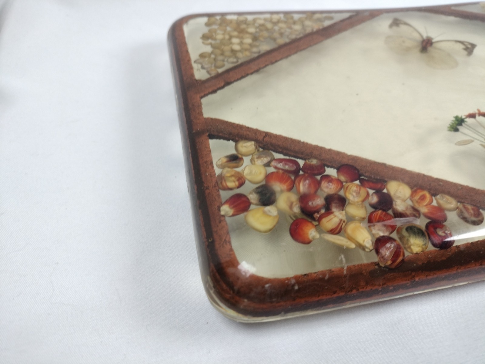 Vintage Butterfly Large Lucite Acrylic Dried Seeds Footed Trivet 11.5”x7"