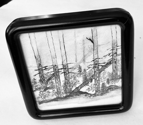 Forest Drawing Fallen Trees Nature Landscape Park Lumberjack Art Wood 70s 6x6" - Picture 5 of 6