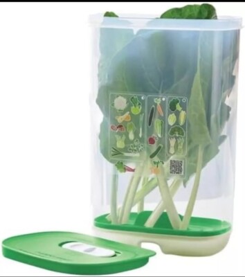 New!!!Tupperware Fridgesmart Vertical Tall Container Fruit & Veggie Keeper 3 Qt 