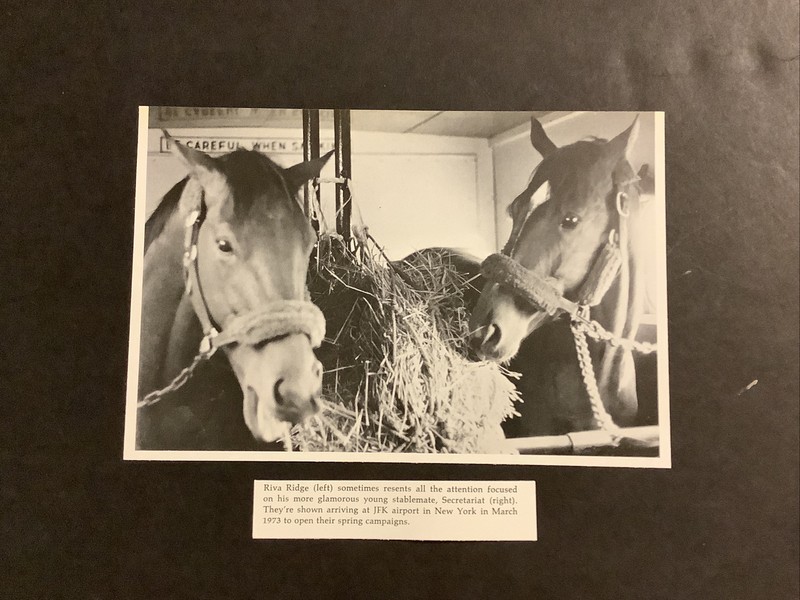 SECRETARIAT RIVA RIDGE Photo Horse Racing 1973 TRIPLE CROWN