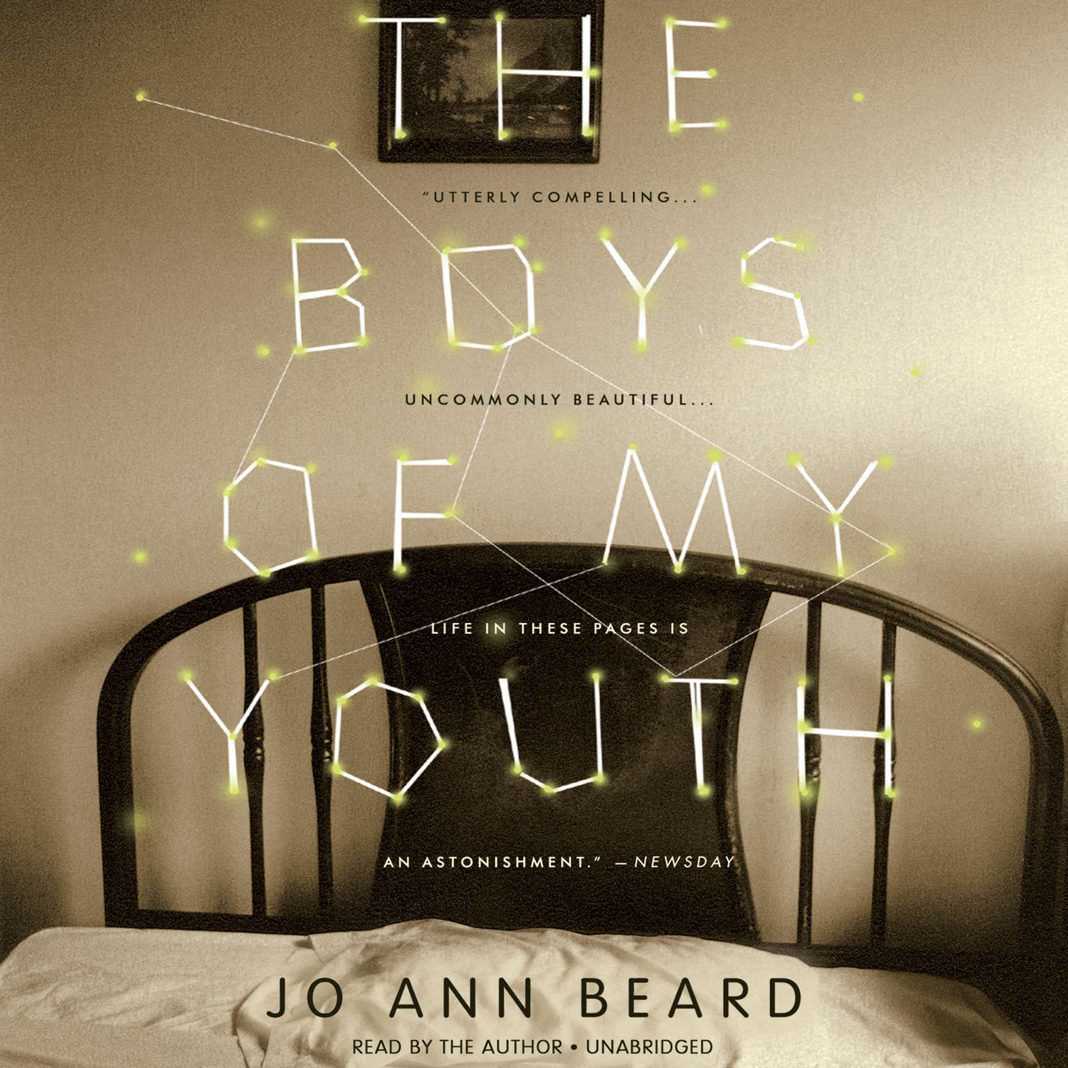 The Boys of My Youth by Jo Ann Beard 2016 Unabridged CD 9781478913887