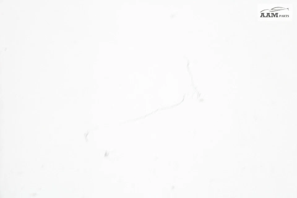 Chevrolet Equinox 2019 parabrisas delantero ventana vidrio OEM Foto 4 de 4