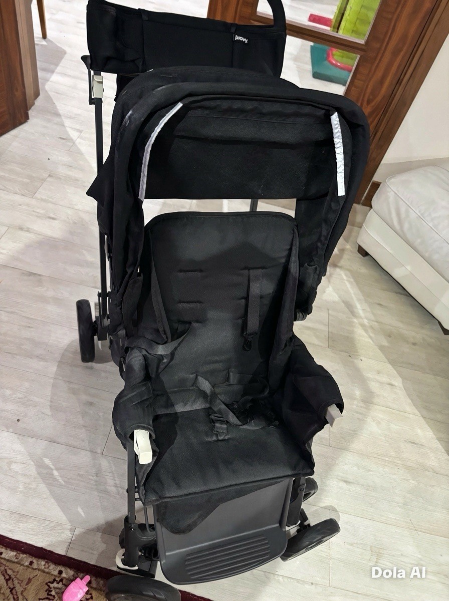 Double Buggy