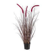 Kunstpflanze Pennisetum rubrum, GRASBUSCH IM TOPF künstlich Lampenputzer ca 73cm