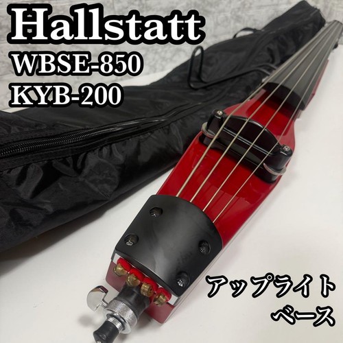 Hallstatt Wbse-850 / Kyb-200 Upright Base Red