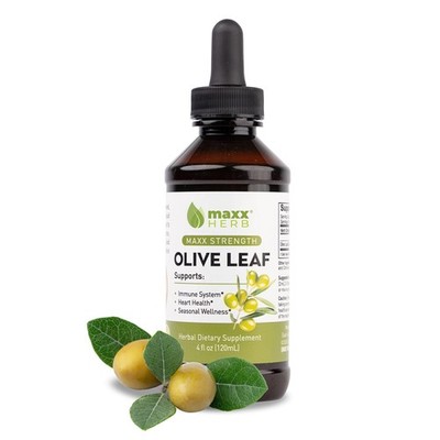 Olive Leaf Extract with Oleuropein for Immune Support, 4 Oz 4 Fl Oz (Pack of 1)